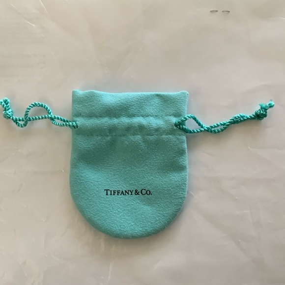 Tiffany & Co. Jewelry - Tiffany Jewelry Empty pouch! Famous blue-green color.
